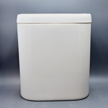 Бачок смывной "Аква" УП AQUSAFT01 Sensea